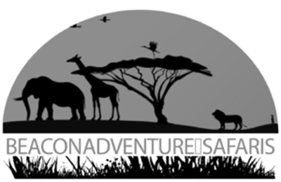 BEACON ADVENTURE & SAFARIS